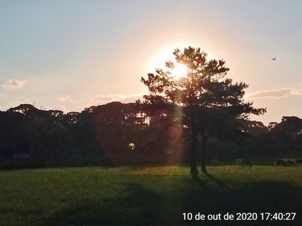 AirBrush_20201010181600.thumb.jpg.08d0367ff971ef5a7d7d59770edbf1bd.jpg