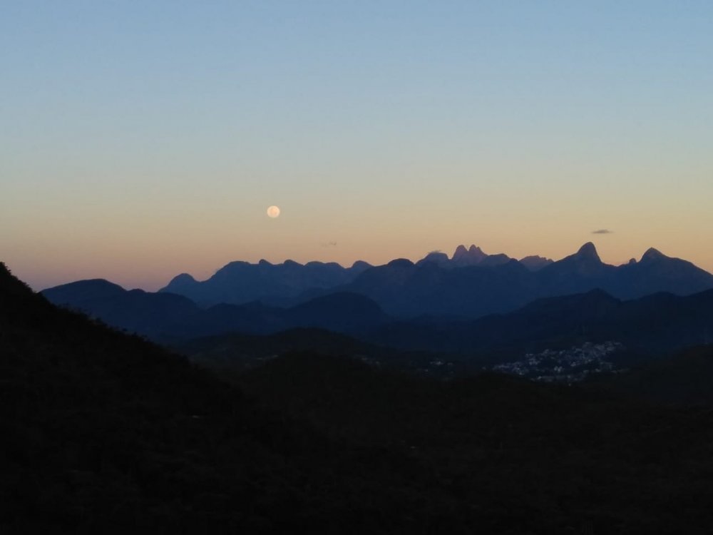 WhatsApp Image 2020-11-29 at 19.26.27.jpeg