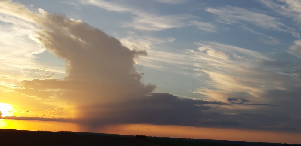 20201114_182504.thumb.jpg.f845525dce371f81edb5ae5e0088162e.jpg