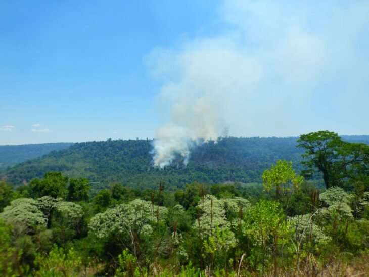 Incendio-Reserva-Yaboti-730x548.jpg.d1311bbd7fea7103ec38f1e2dc949fe1.jpg