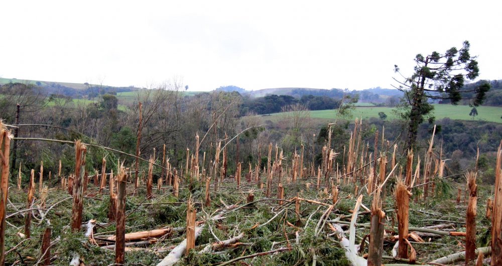 20090907SANPEDROMISIONES11 (1).jpg