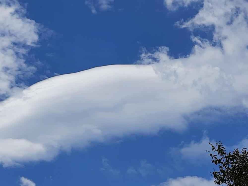 WhatsApp Image 2021-03-30 at 16.50.19 (1).jpeg