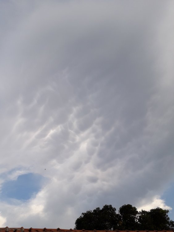 20210326_174538.thumb.jpg.dd3ae3789c10df0cc75ce3a0cb539b74.jpg