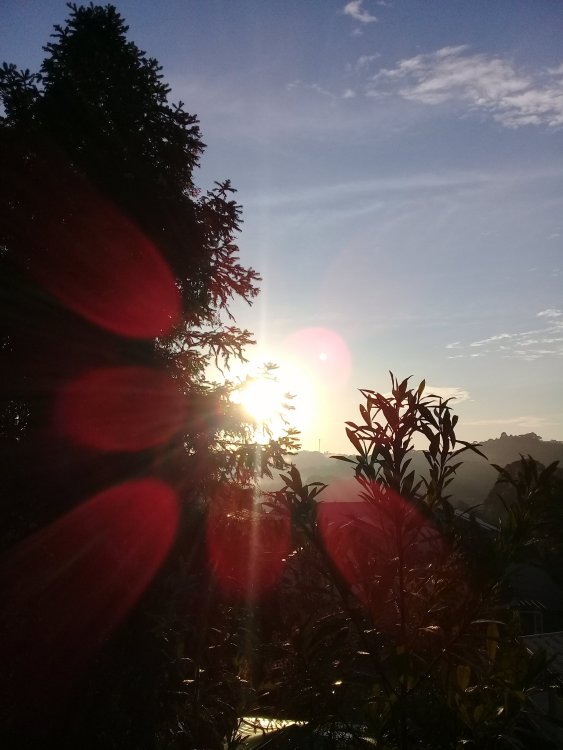 20210327_065949.thumb.jpg.6785f8c36ba5e421ae954b13c935f5bd.jpg