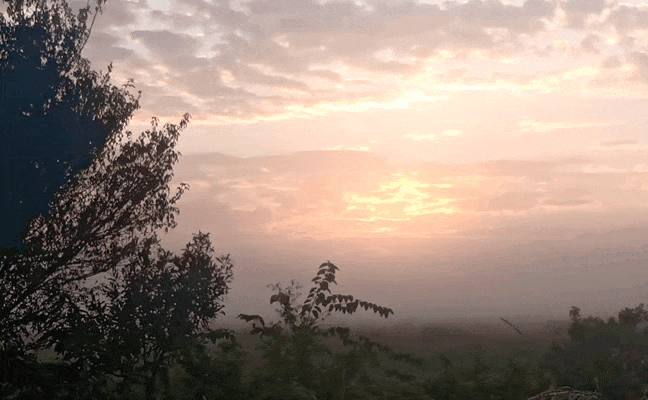20210329_071158.gif.8a3a3610c9c1f823d6b18a2ff26a279b.gif