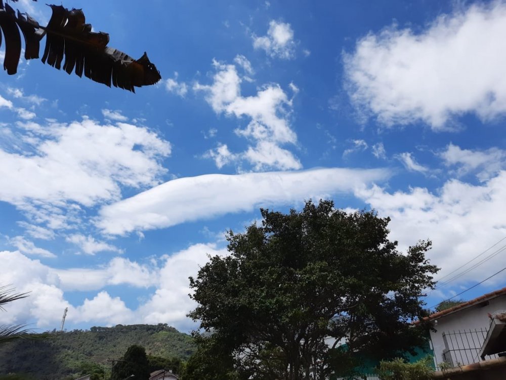 WhatsApp Image 2021-03-30 at 16.50.19 (3).jpeg