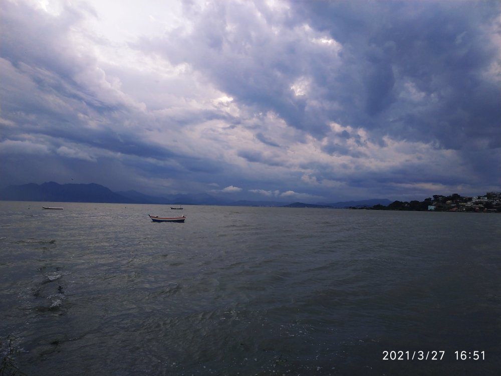 IMG_20210327_165358.jpg