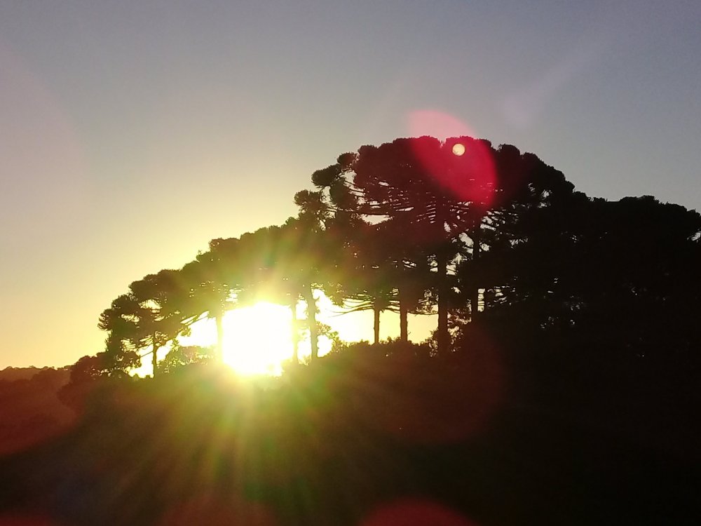 20210422_173737.thumb.jpg.4a59d5d068539e74412d40a46321fdb5.jpg