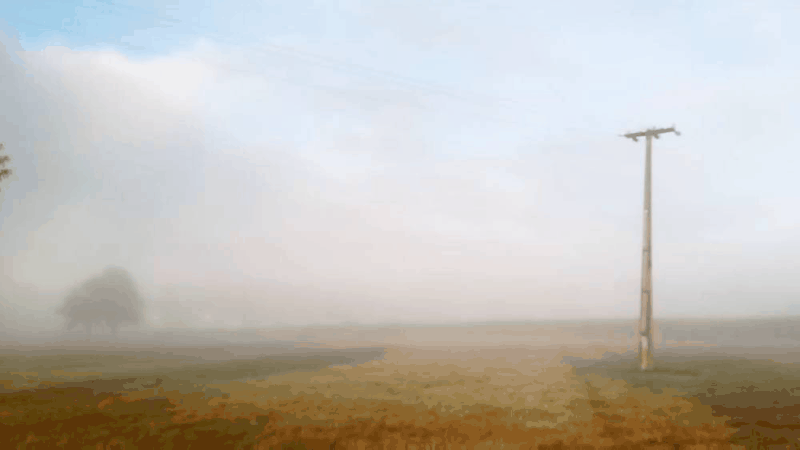 20210423_081223.gif.88315ac5da5282147721bdb0bb2209c9.gif