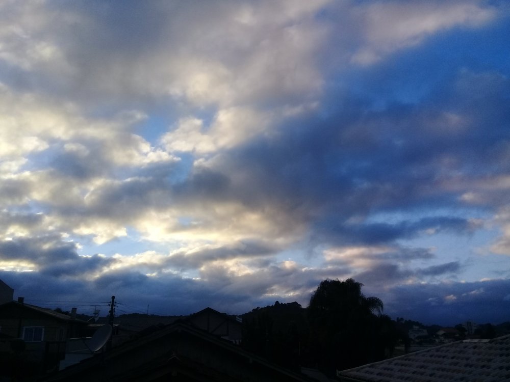 20210429_070911.jpg