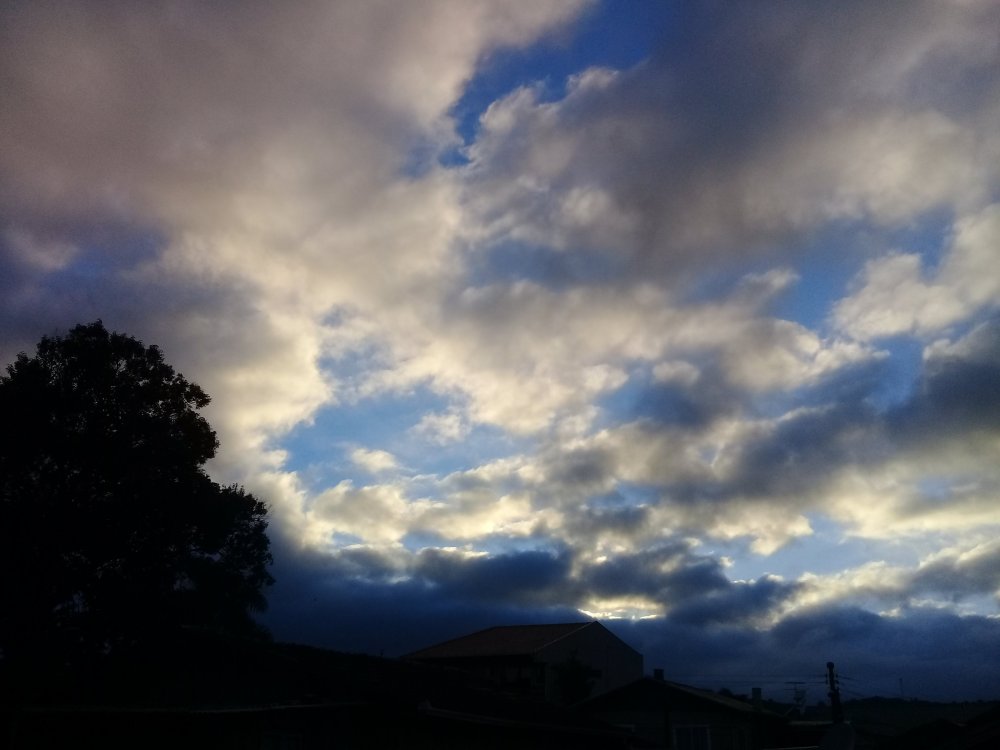20210429_070920.thumb.jpg.d7fa3adf07cf69088149da255d2034e8.jpg
