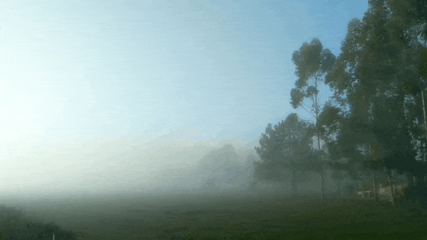 20210429_081506.gif.ea6690e38c6997764d0436c166876c7f.gif