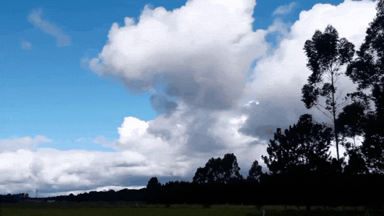 20210429_155648.gif.b25ebef91d2bba0007be9760764664e9.gif