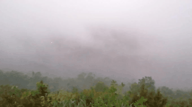 20210430_083247.gif.84897d7eee9483eabd16f293c36260e6.gif