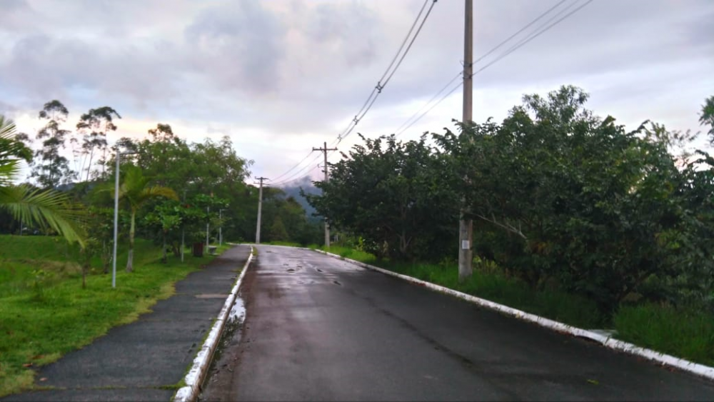 image.thumb.png.dbe0bfcc7409c6ce2cdbb4ce051e532c.png
