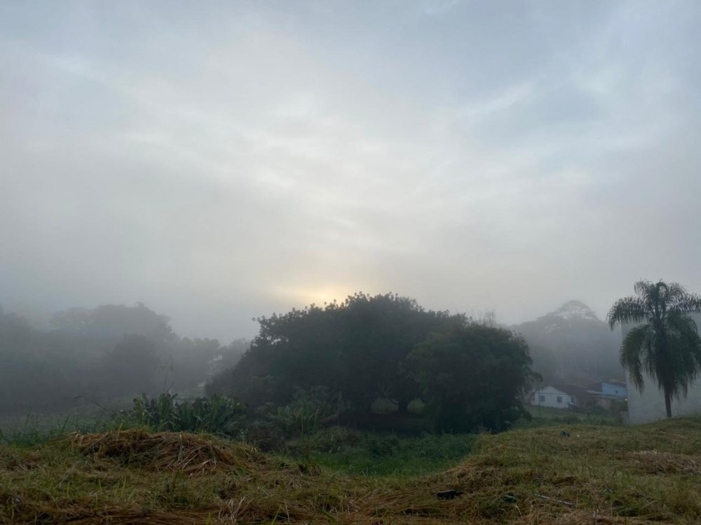 WhatsApp Image 2021-05-11 at 07.40.19.jpeg