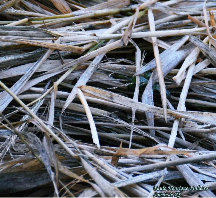 WhatsApp Image 2021-05-30 at 08.03.55.jpeg