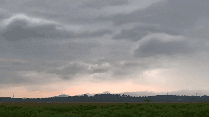 20210506_164847.gif.310f73053b4bae084d3e5c599e5516ef.gif