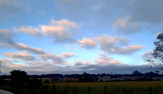 20210507_090615.gif.e9722c386b7ec84cedd9b1445811c102.gif