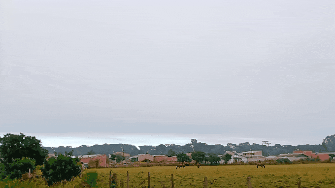 20210507_091026.gif.2963dd70159c4ca2c1b927f7490033a3.gif