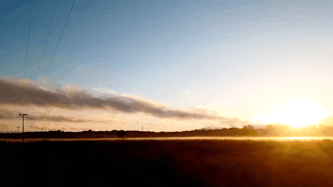 20210513_082101.gif.635abde84b0574bdc9035bdc70c97412.gif