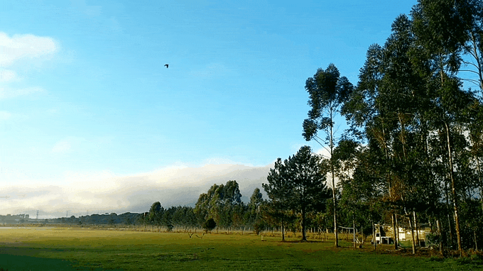20210513_091055.gif.78d78acced1fb67d8433e4fba5f4027c.gif