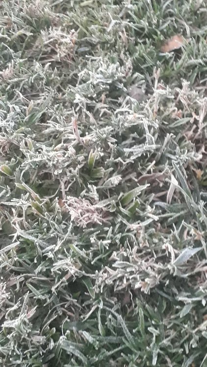 20210525_064159.jpg