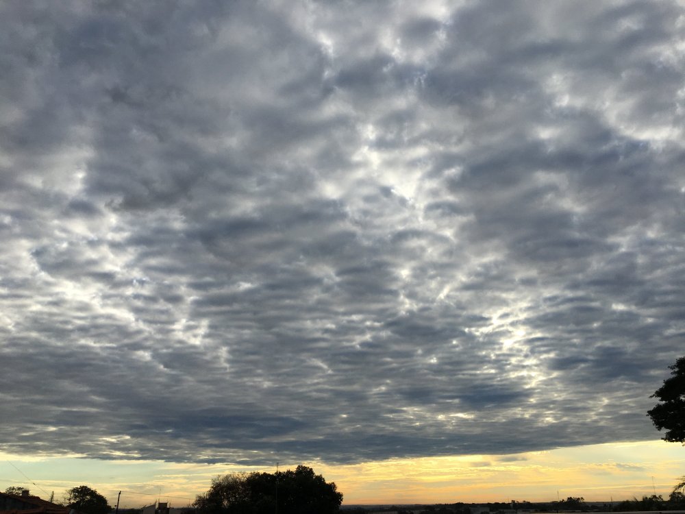4203E2FD-FD6D-484C-8F24-2997CFFF02AA.thumb.jpeg.c36d2c639de8b0e2ad4c001cef87bdb2.jpeg