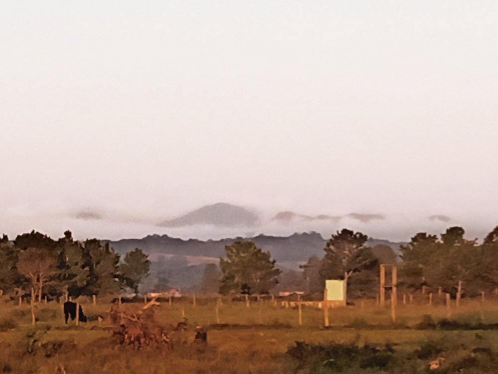 AirBrush_20210505173517.thumb.jpg.51f40403c2699176e5c5bb30454cb83e.jpg