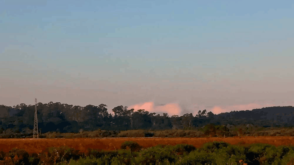 GIF-210505_185003.gif.a9be6b4ae242dbb4b153fb16f87d6959.gif