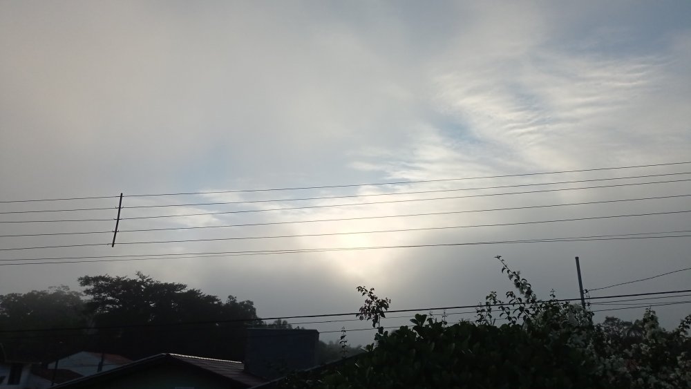 IMG-20210507-WA0001.thumb.jpeg.8f3643825c66d886f0478a875e8538a9.jpeg