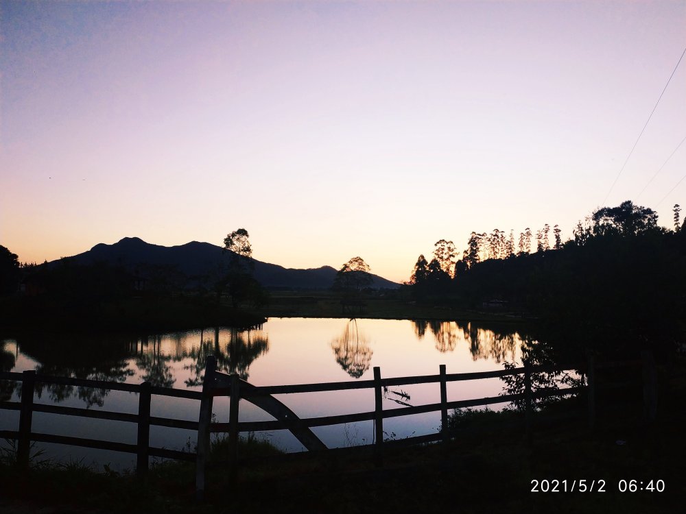 IMG_20210502_120640.jpg
