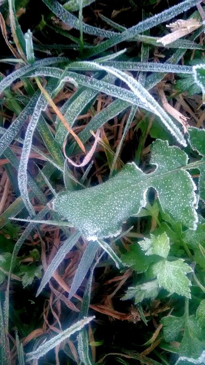 P_20210525_070208_1.jpg