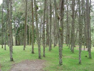 image.png.97aeb2d30870d0f8d059fb4a9841b5a3.png