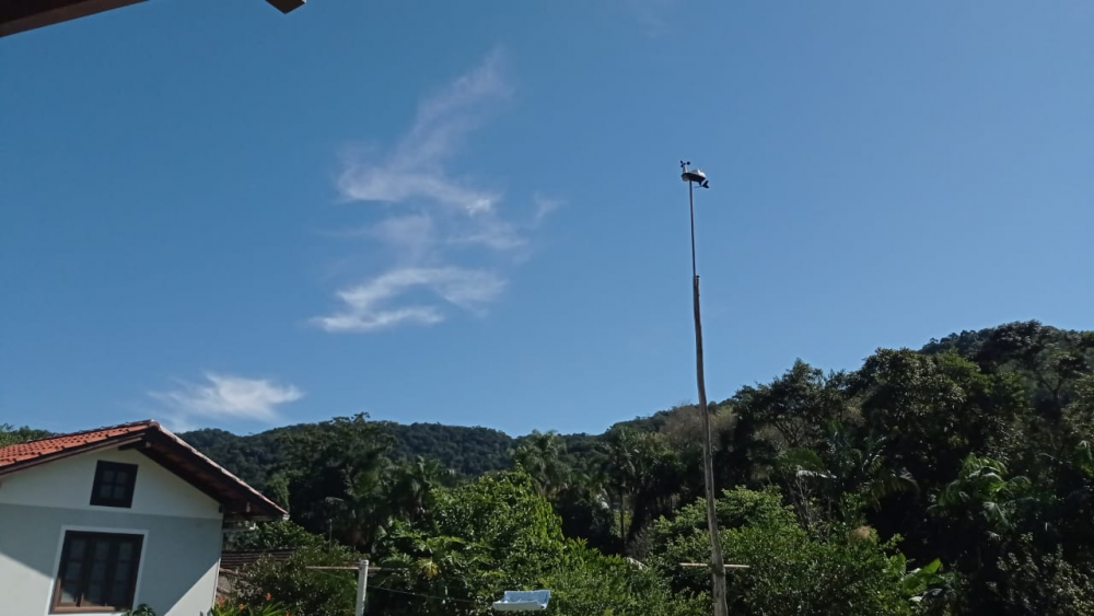 image.thumb.png.7caf4ca0e9ec56b0dd733626e0d8e79a.png