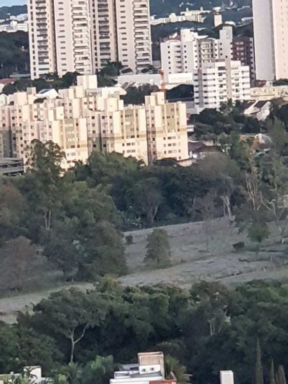 WhatsApp Image 2021-06-30 at 11.36.50.jpeg