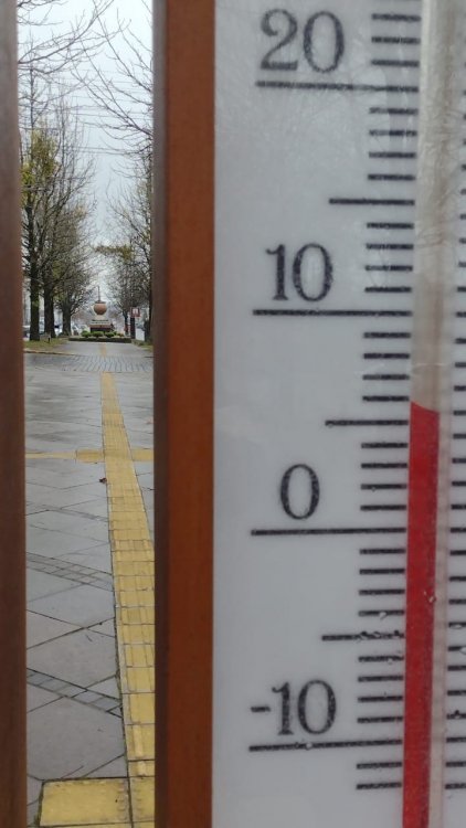 WhatsApp Image 2021-06-16 at 14.13.05.jpeg