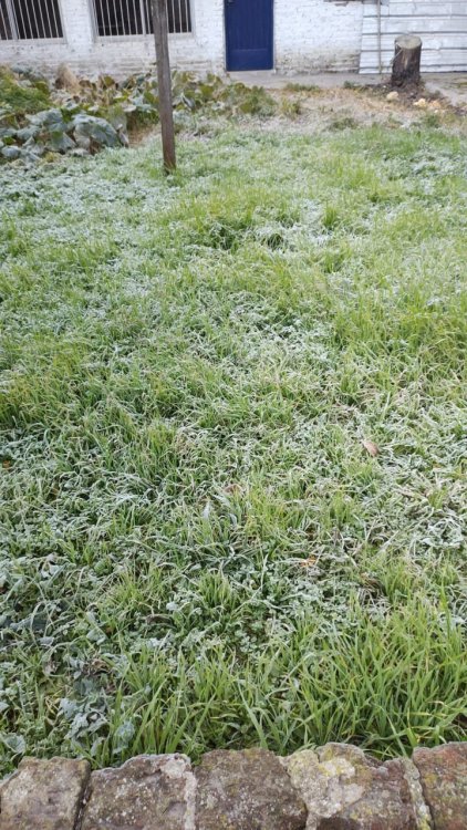 WhatsApp Image 2021-06-18 at 08.24.25.jpeg