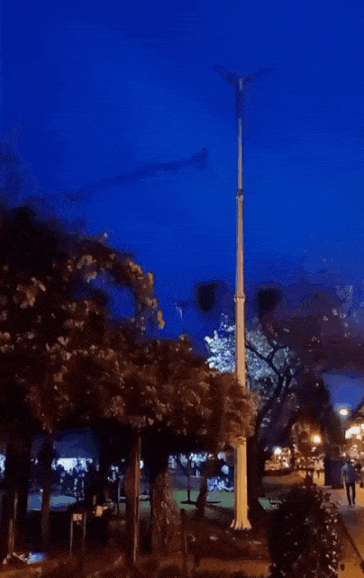 20210605_202644.gif.fd7a9cf3ee1f0d63d97fc8c42605389e.gif