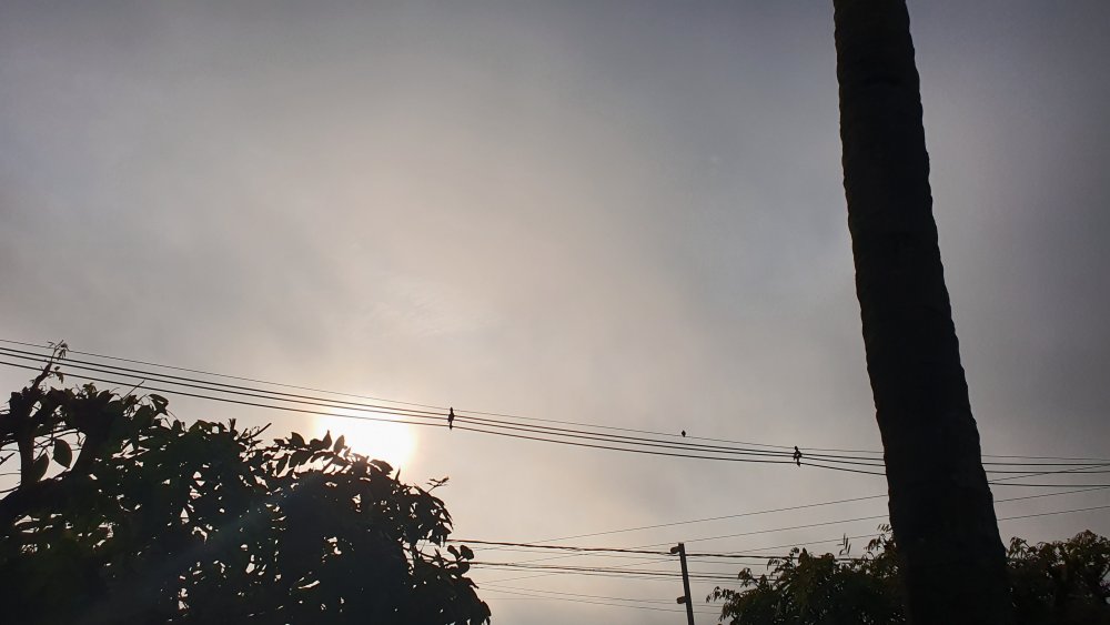 20210608_081528.thumb.jpg.e67fbaada8bf607ee844f44d54fbd689.jpg