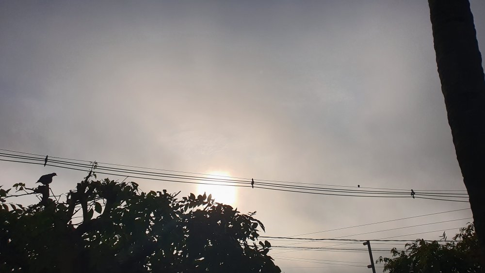 20210608_081533.thumb.jpg.0ab4e172253c415b98c1323936a0f7d0.jpg