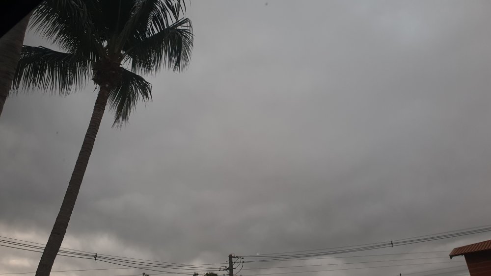 20210629_070601.thumb.jpg.2b909fa6cfc284cdd2d126d18d173d9d.jpg