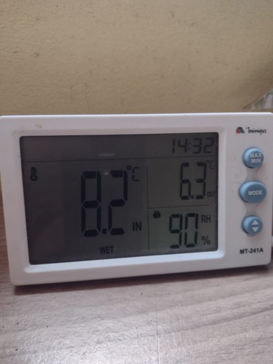 WhatsApp Image 2021-06-17 at 14.35.12.jpeg