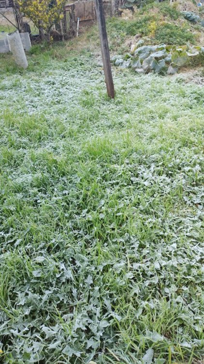 WhatsApp Image 2021-06-18 at 08.24.56.jpeg