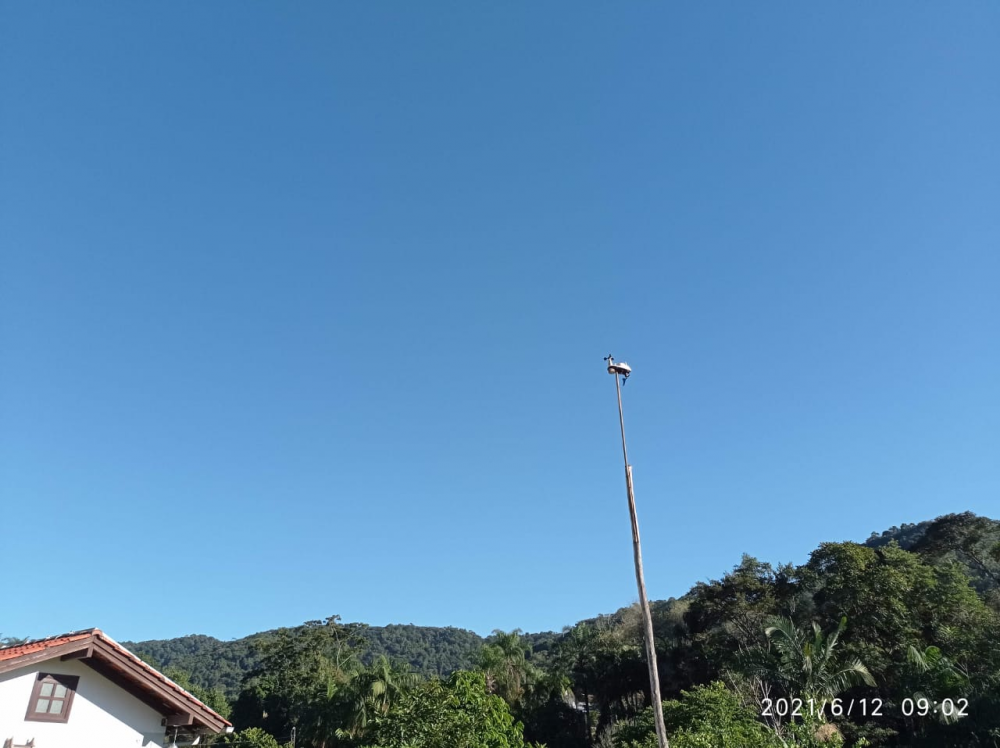 image.thumb.png.d7c9ced6b5a06076337587d49720f552.png