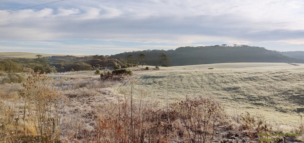 222096411_5712601458814096_2595440295114266967_n (1).jpg