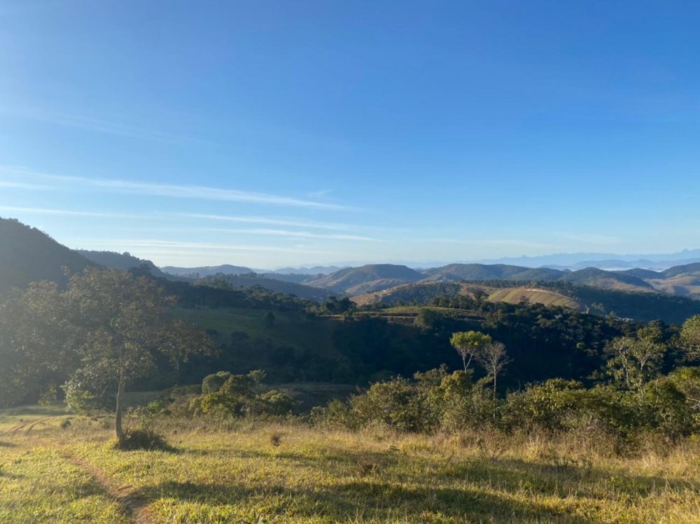 WhatsApp Image 2021-07-31 at 08.22.46 (1).jpeg