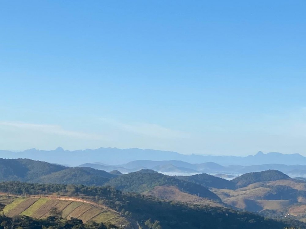 WhatsApp Image 2021-07-31 at 08.22.48.jpeg