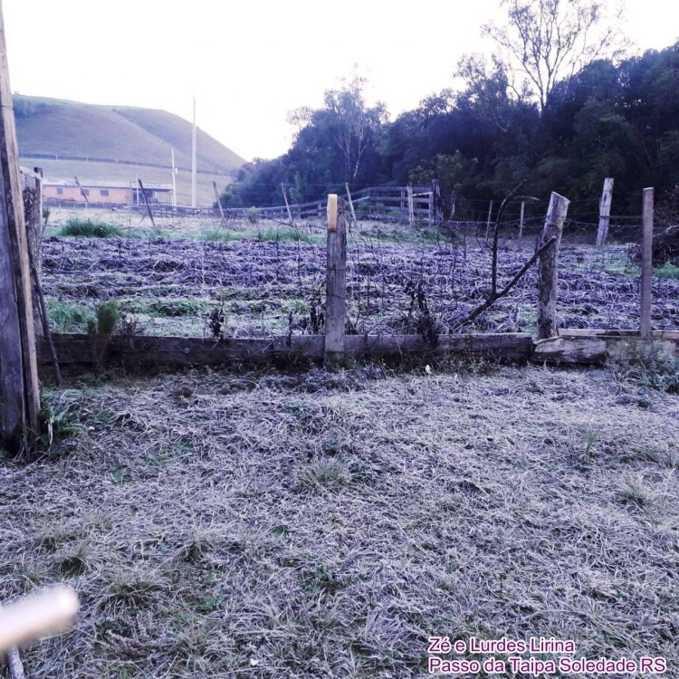 WhatsApp Image 2021-07-02 at 08.56.45.jpeg