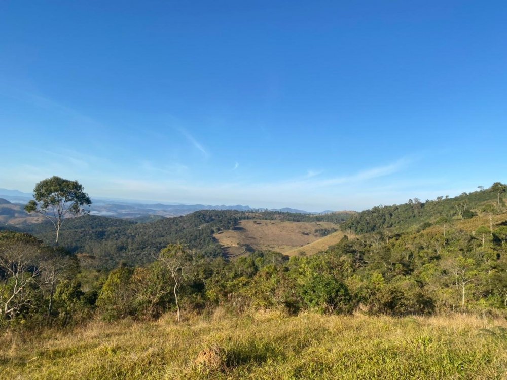 WhatsApp Image 2021-07-31 at 08.22.47.jpeg